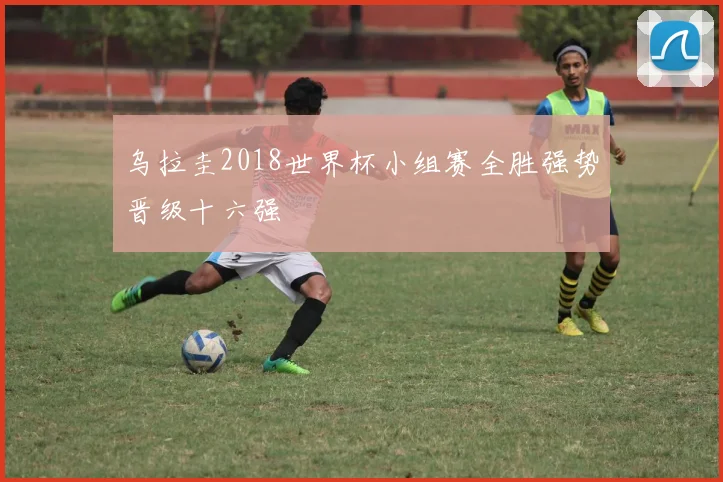 乌拉圭2018世界杯小组赛全胜强势晋级十六强
