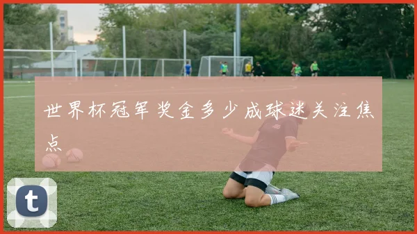 世界杯冠军奖金多少成球迷关注焦点