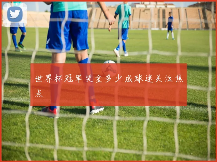 世界杯冠军奖金多少成球迷关注焦点