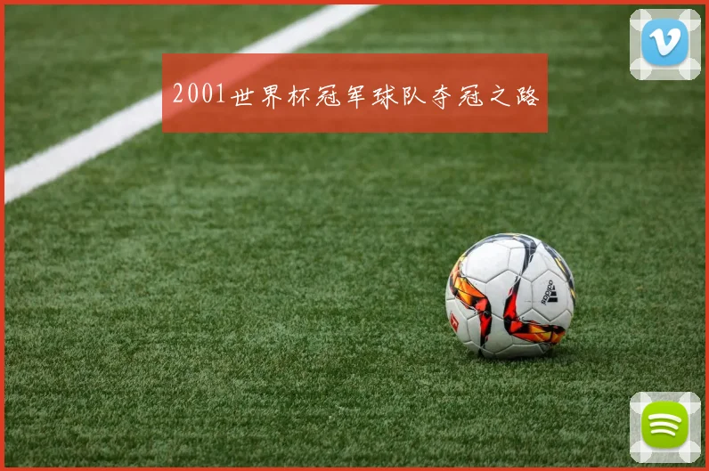 2001世界杯冠军球队夺冠之路