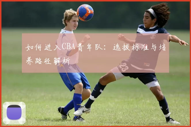 如何进入CBA青年队：选拔标准与培养路径解析