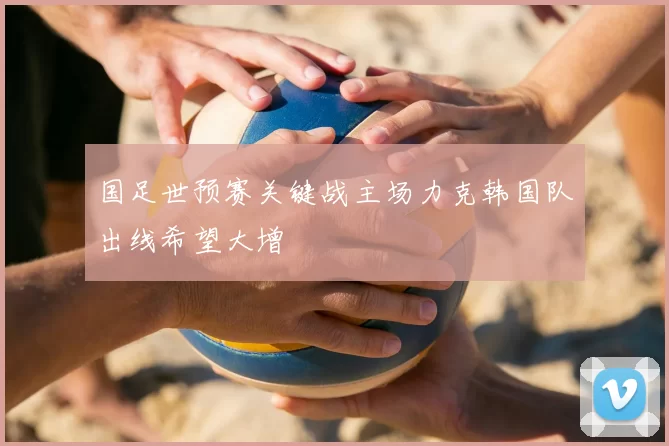 国足世预赛关键战主场力克韩国队出线希望大增
